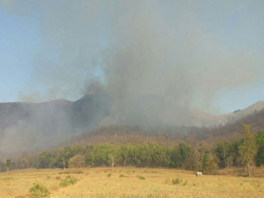 BRT&#8200;Tiger Reserve director T Heeralal told DH&#8200;that all measures have been taken to control the fire and the blaze at Himavad Gopalaswamy Hill, Maddur and N&#8200;Begur forest ranges are under control. DH Photo.