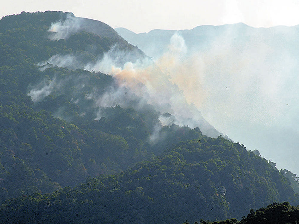 Fire at Kenchanakumari reserve forest in Sakleshpur taluk, Hassan district, on Tuesday.