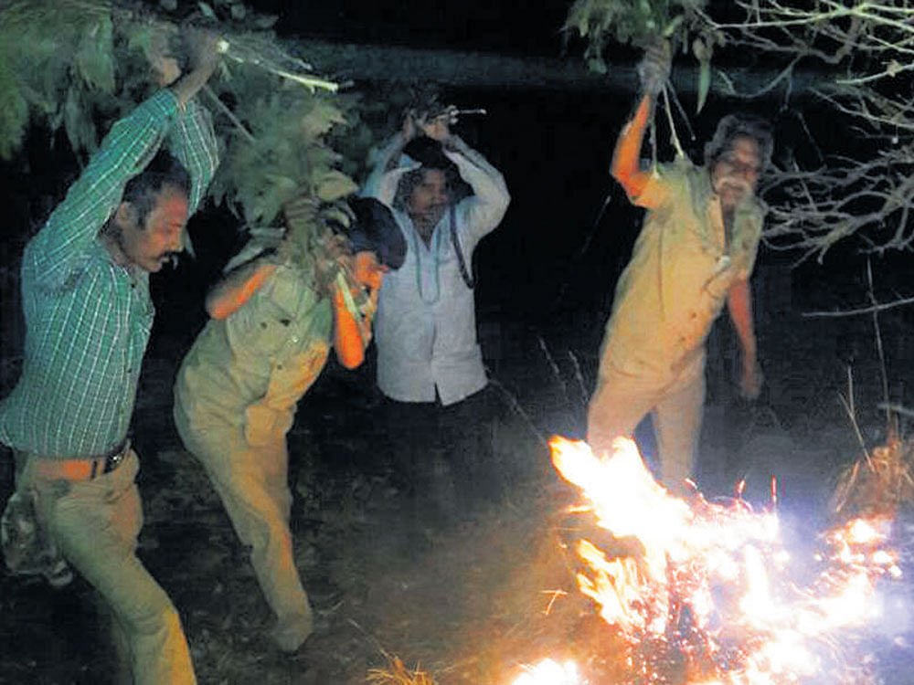 Forest personnel douse fire at Kappatagudda foothills, between Bidnal-Virapapur tandas in Mundargi taluk of Gadag district, on Friday night. dh photo