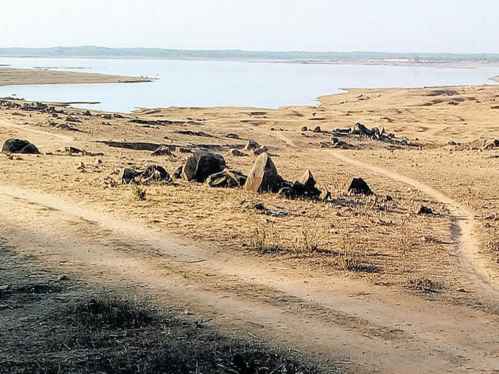 A view of Krishnaraja Sagar dam. The reservoir has 11.46 tmcft, of which 4.40 tmcft is dead storage.