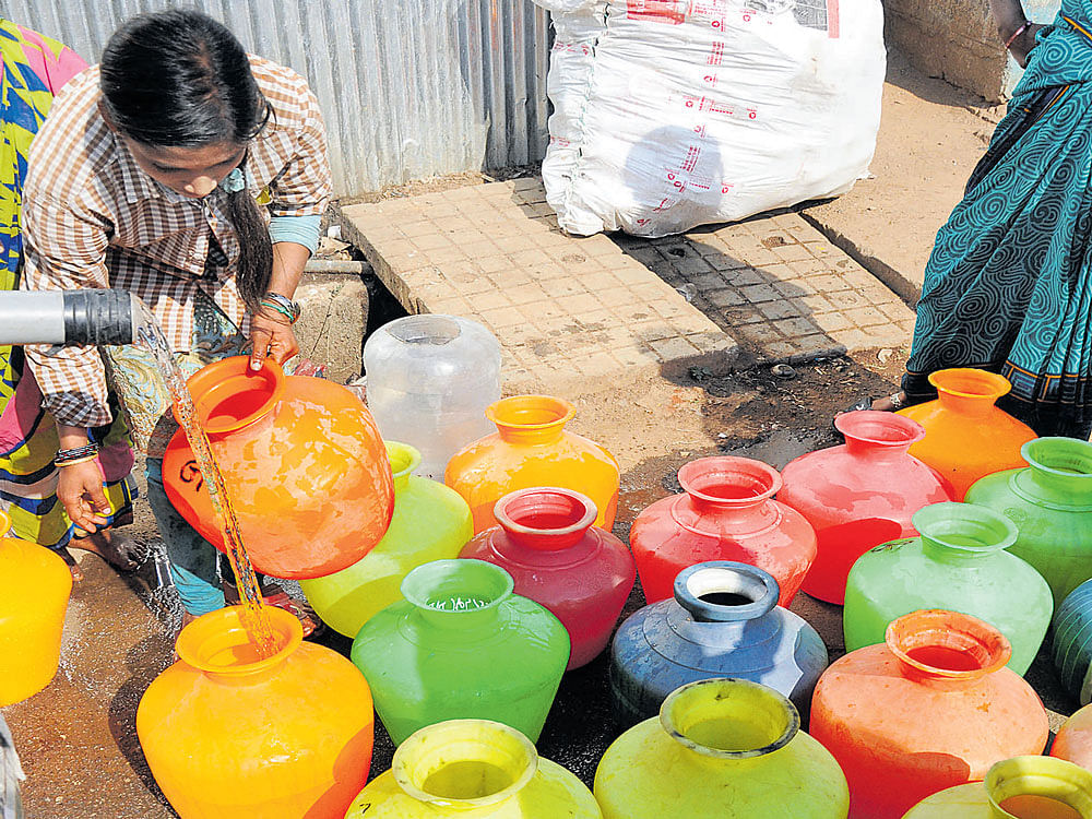 FACING THE HEAT With a scorching summer ahead, a severe water shortage is expected in the city. Many people are taking to composting plants to help the soil retain moisture. DH&#8200;PHOTO&#8200;BY&#8200;B H SHIVAKUMAR