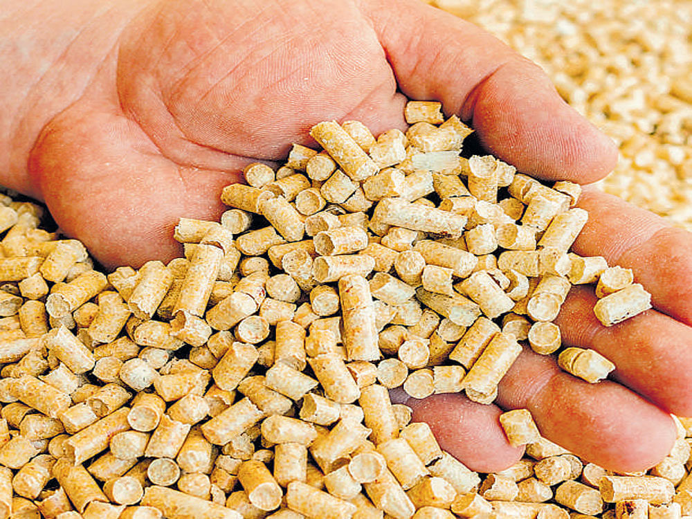 harmful Burning wood pellets can release more carbon than fossil fuels.