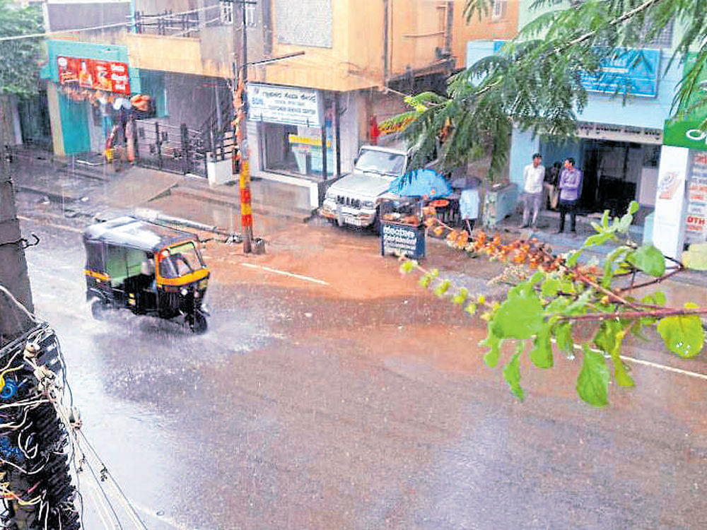 Many places across the state, including Madhugiri in  Tumakuru district, received moderate rain on Monday,  bringing relief from the summer heat. dh photo