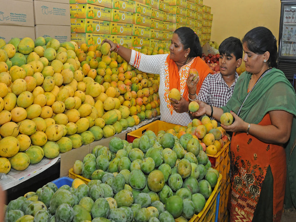 More hot water treatment units in state to process mangoes. PTI file photo