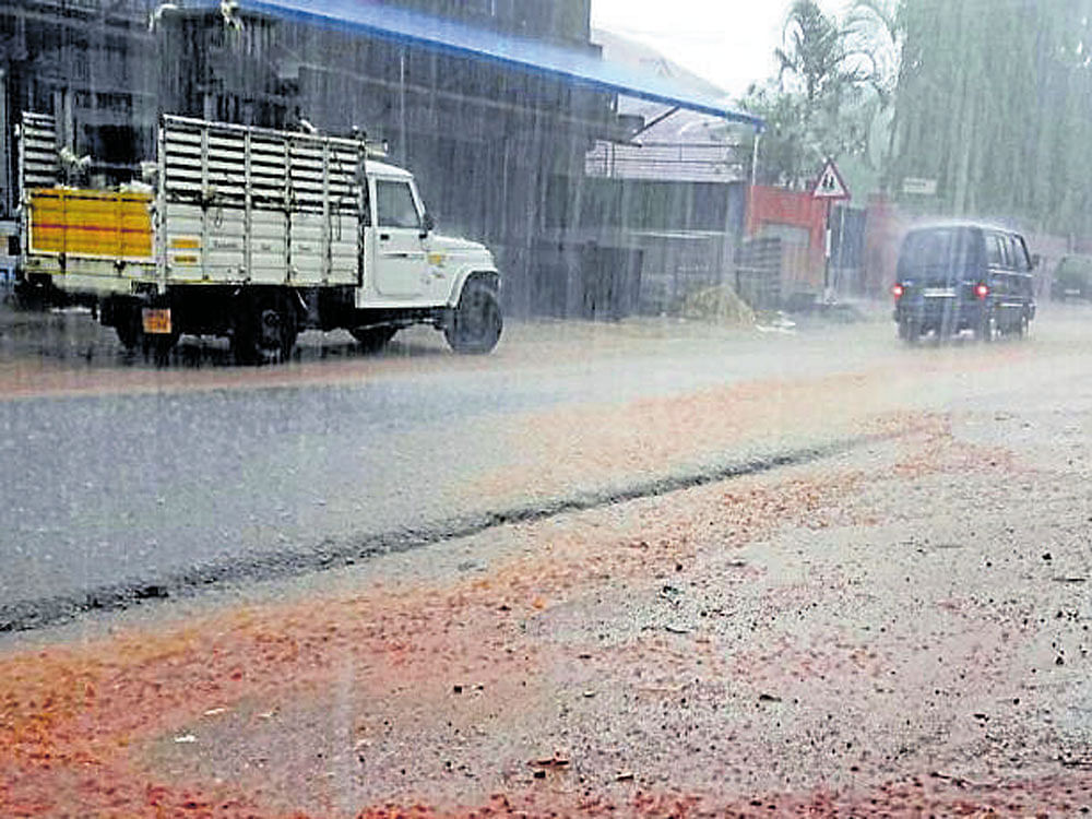 Siddapura in Virajpet taluk, Kodagu district, received the first rain of the season on Tuesday. DH photo