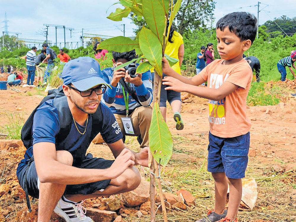 Volunteers at a tree plantation drive conducted by 'SayTrees' in the city.