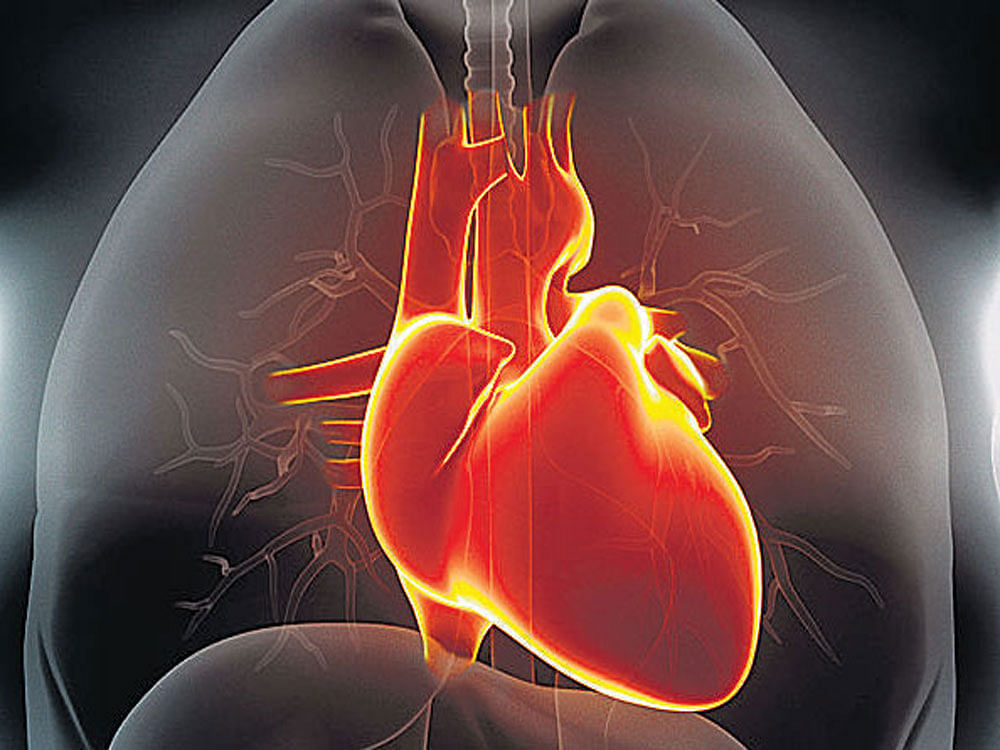 Cardiologists from Karnataka are set to launch a major programme to expand the coverage of angioplasty in far-flung areas.