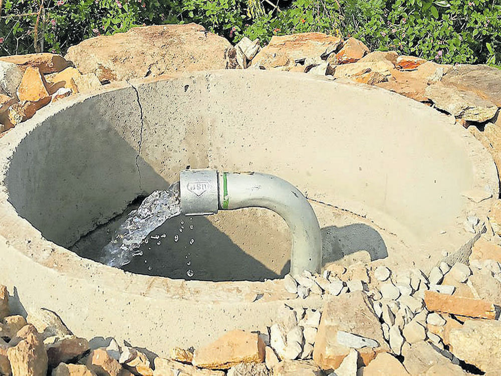 Static groundwater levels were measured from 1,774 borewells maintained by the Groundwater Directorate across the state.  DH File photo