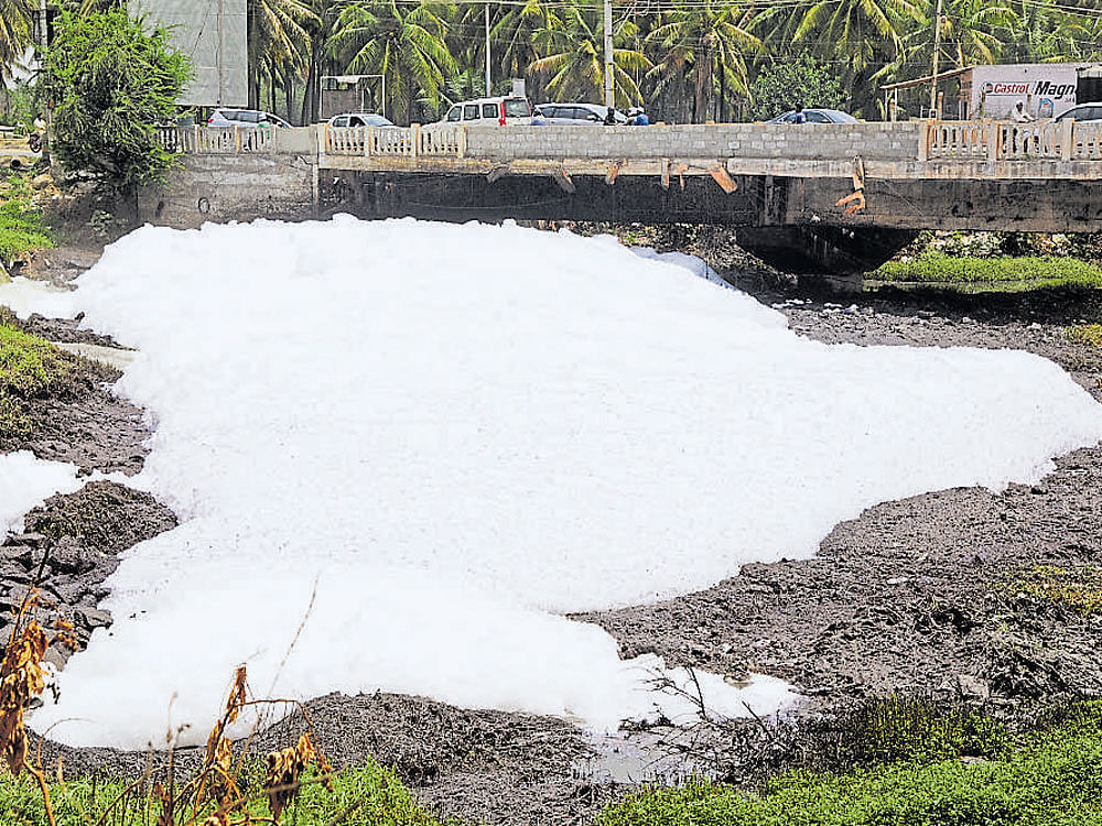 A large amount of foam accumulated in Varthur lake in Bengaluru on Wednesday.