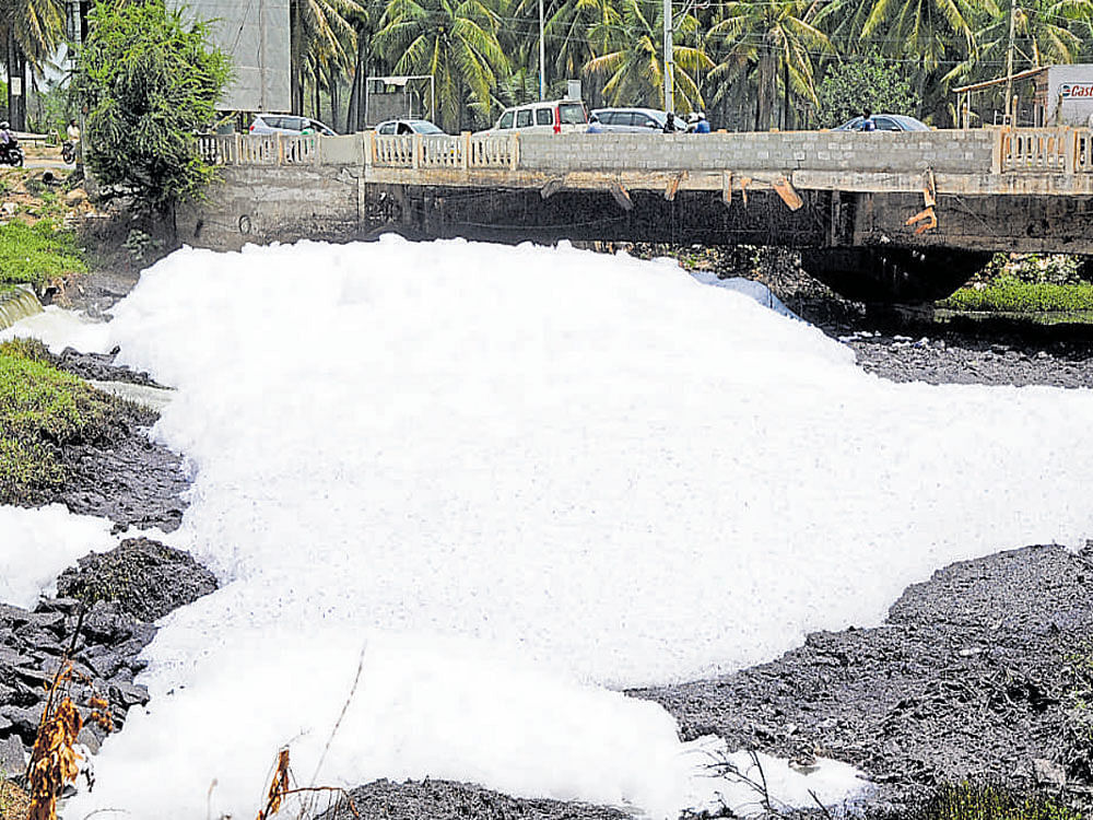 High phosphate content in Varthur lake causes frothing, say researchers. DH PHOTO
