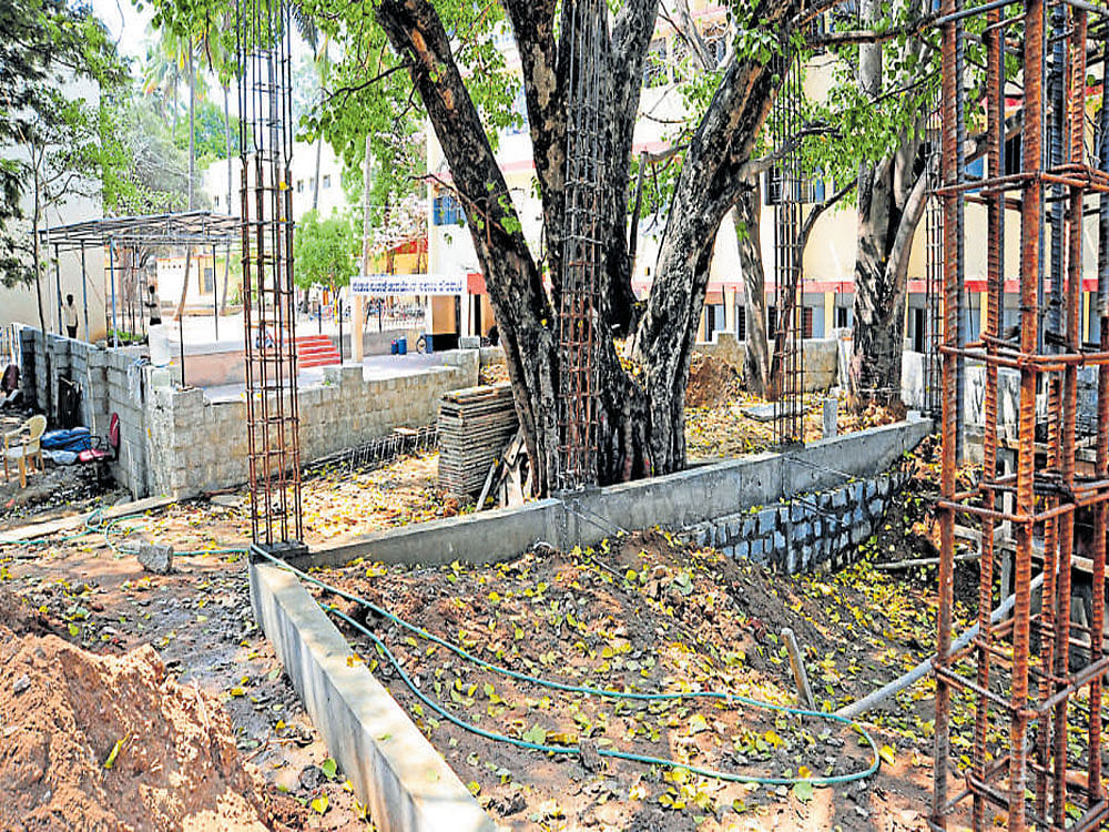 Netaji Subhash Chandra Bose Kannada and Urdu Primary and Secondary School in Hombegowdanagar has lodged a complaint with the Wilson Garden police that a fewlocal people were trying to illegally construct a parapet wall around a holy tree on the school premises. DH PHOTO