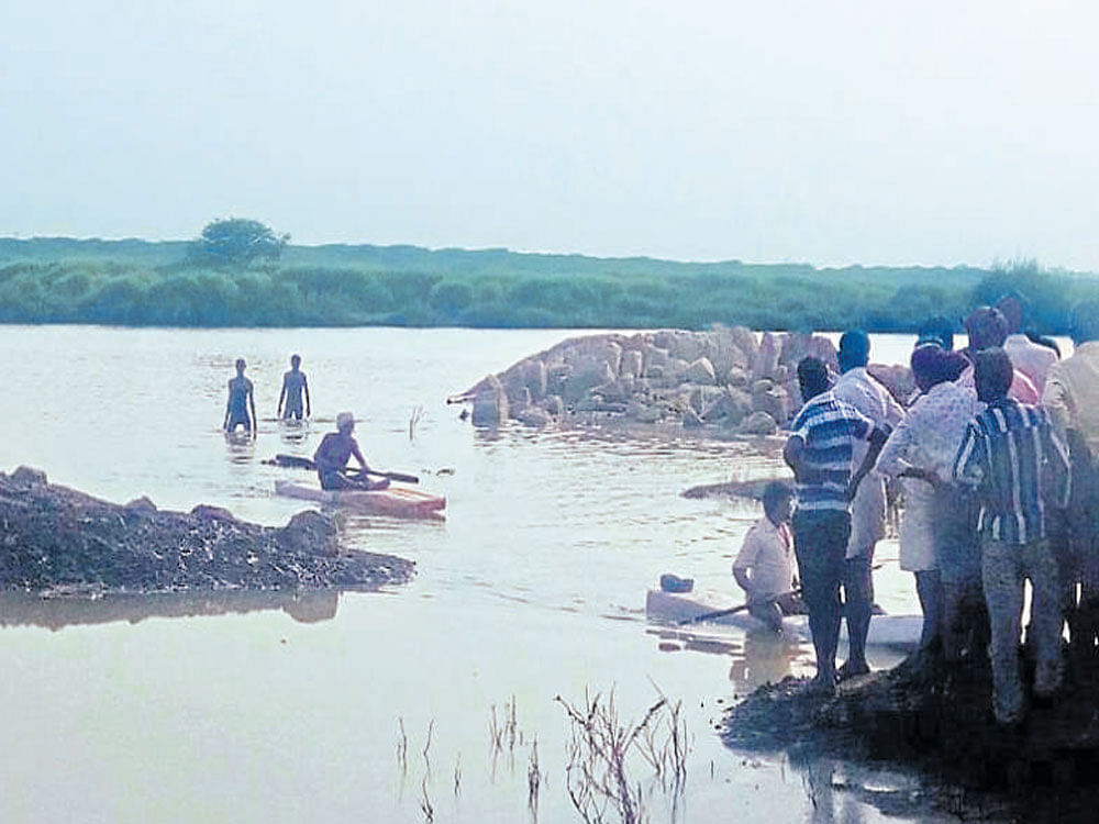 Fishermen have launched efforts to trace the body of Mareppa Hanamantha Idlur, who was killed by a crocodile in River Krishna at Tumakur village in Shahpur taluk of Yadgir district on Tuesday. dh photo