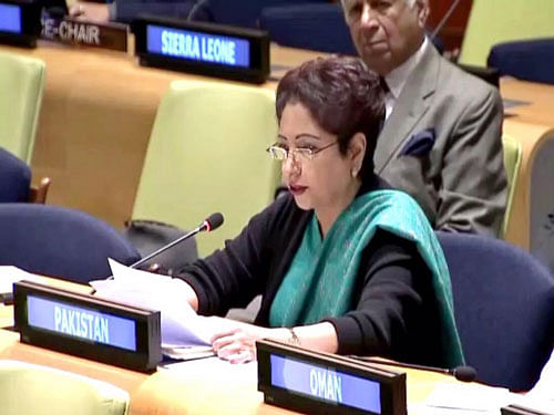 Addressing international students at an event here, Maleeha Lodhi blamed India for suspending the dialogue process between the two countries, saying India has brought the normalisation of bilateral relations to a halt.