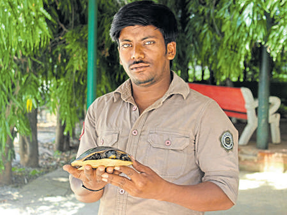Prasanna is seen with a rescued turtle.
