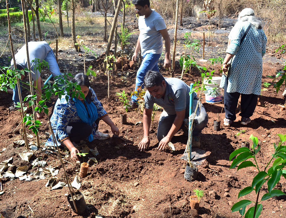Community effort: Members of Green Saviours, Belagavi participate in a plantation drive.