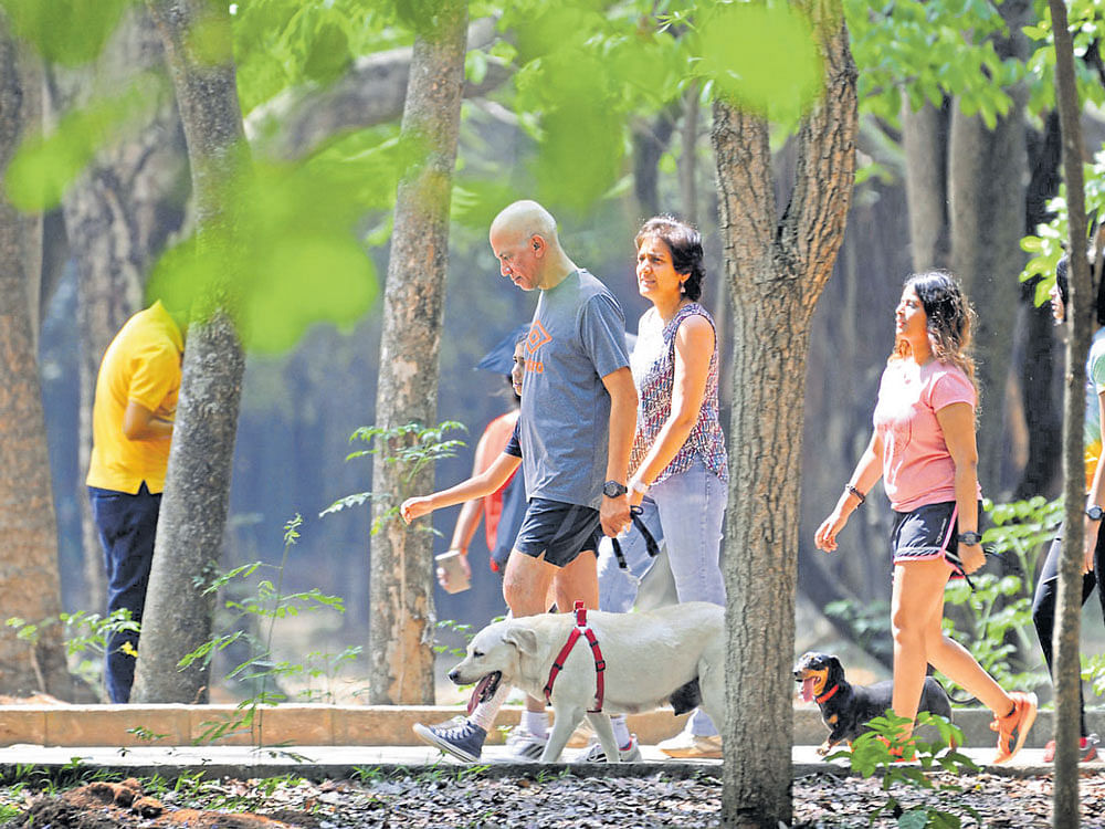 Citizens feel that the existing parks in the city should bewellmaintained. DH PHOTO