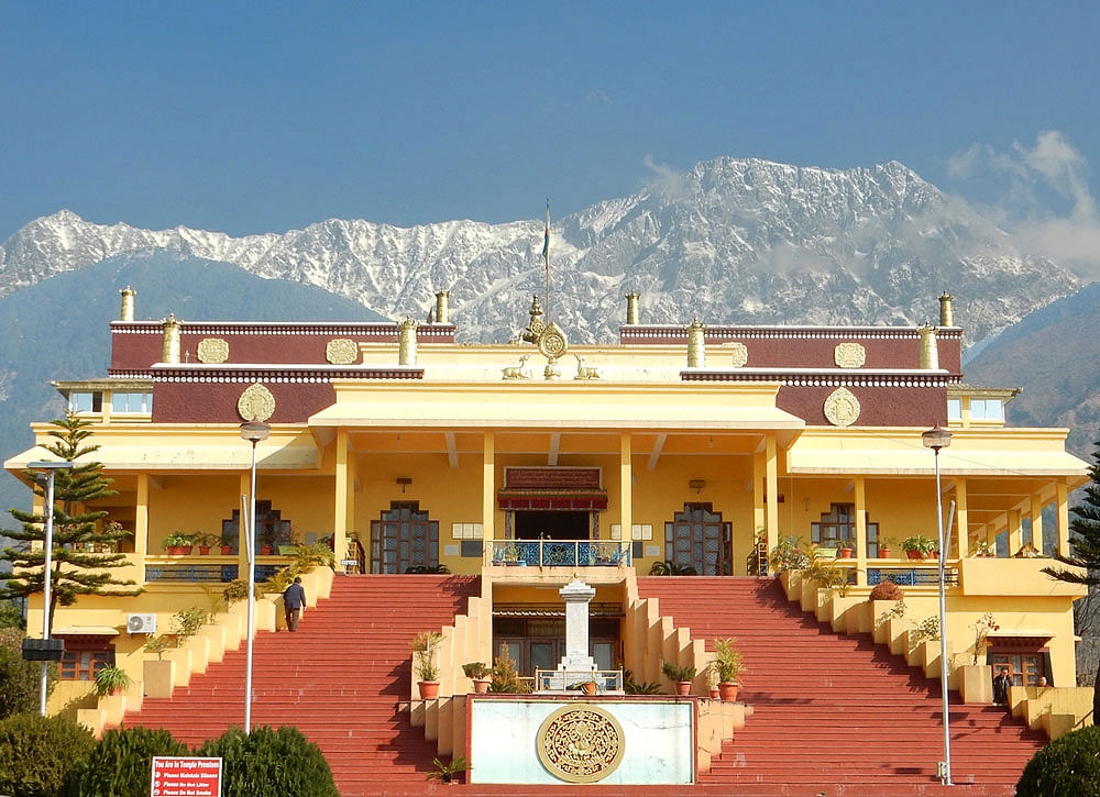 Refreshing locale: The Gyuto Monastery, also known as Karmapa Temple, near Daramshala. Photo by author