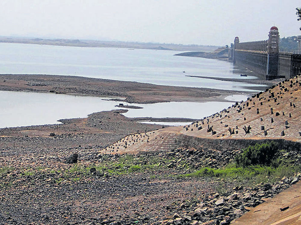 Water level in the Tungabhadra dam is 1.7 tmcft against the requirement of 2.3 tmcft. Therefore, the Maharashtra government has been requested to release 2 tmcft of the Krishna river water to Karnataka. DH&#8200;File photo