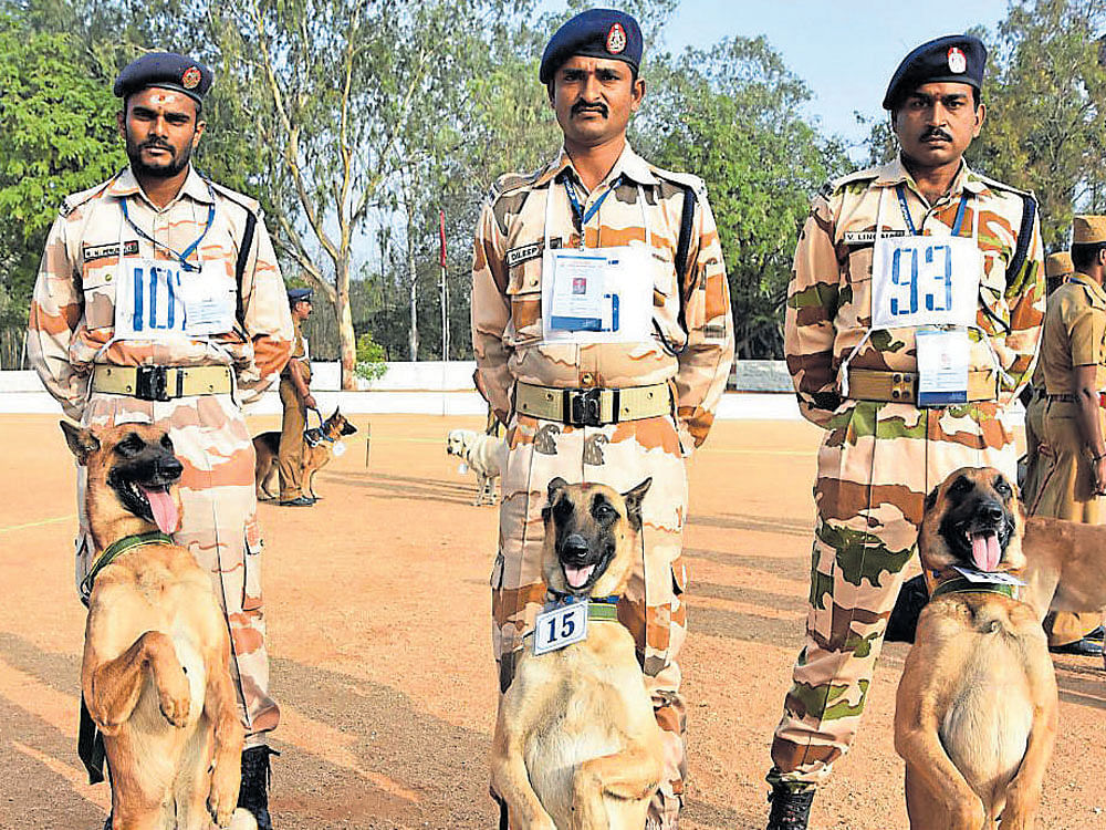 Sniffer dogs are required to detect explosives and drugs while trackers are pressed into service at the crime scene to detect culprits. Requirement of sniffer dogs is more as these are required at every platform of major stations, but at the moment it is not the case and sniffers are hard-pressed, said the official. Deccan Herald file photo