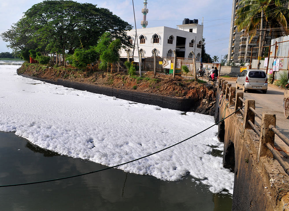 Foam from Bellandur lake has affected flow of traffic many times in the recent past. DH file photo