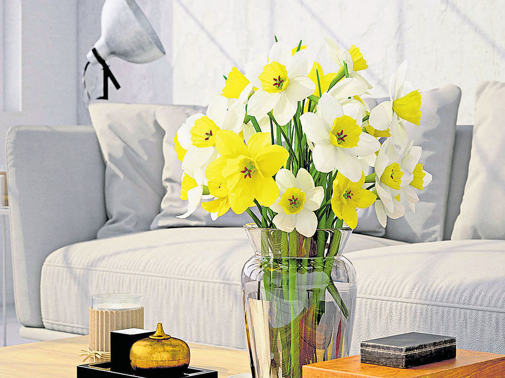 joyous Small bright clusters of flowers made to sit pretty in a corner can lift up moods instantly.