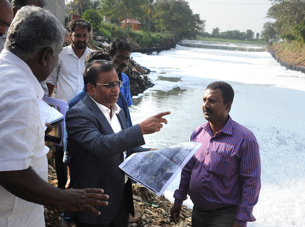 Industries, small and big, are directly responsible for the heavy metal contamination of the lake water, and the KSPCB should be squarely blamed for letting them operate, says Dr T V Ramachandra from the IISc. KSPCB&#8200;chairman Lakshman inspects a frothing Bellandur lake in this DH&#8200;file photo.