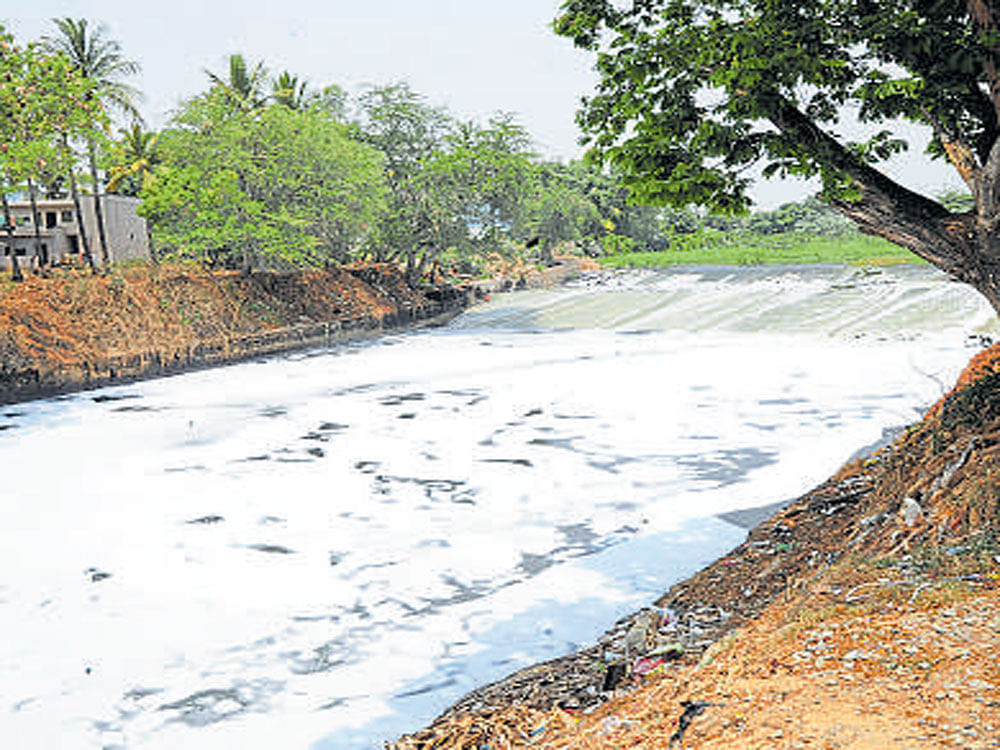 Deadline looms, govt begins lake cleaning