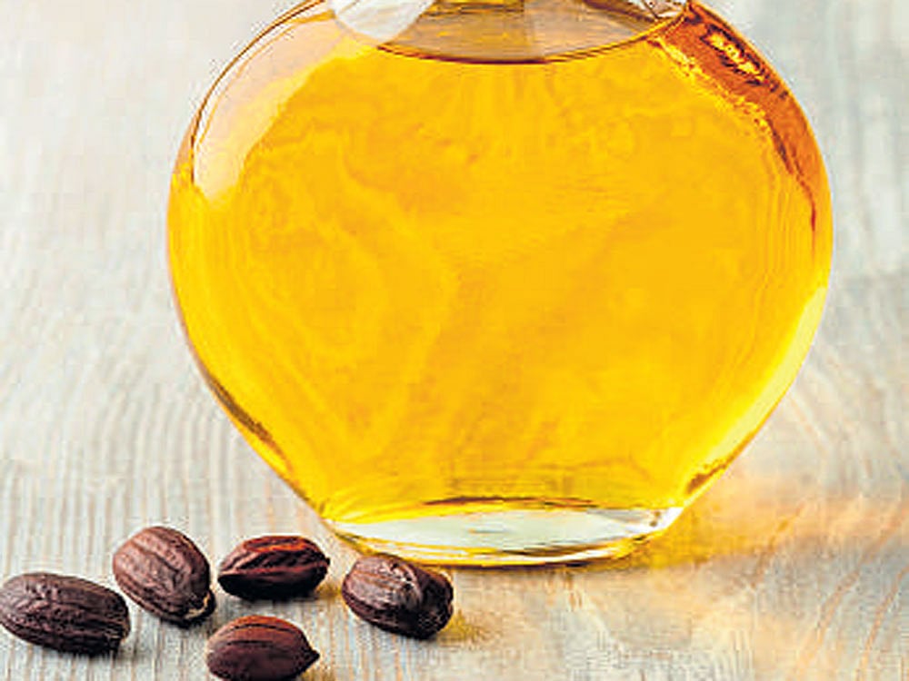 Jojoba oil & its many benefits