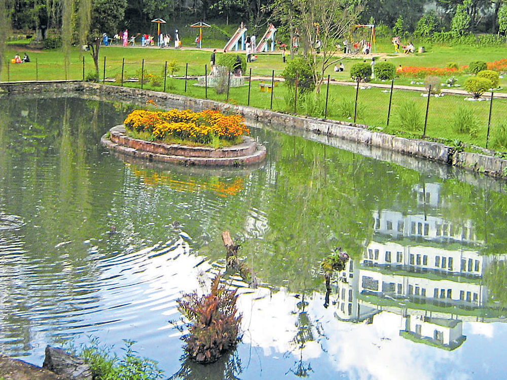 favourite Lady Hydari Park in Shillong draws tourists as well as locals with its charming willow trees and rose beds. Photos by author