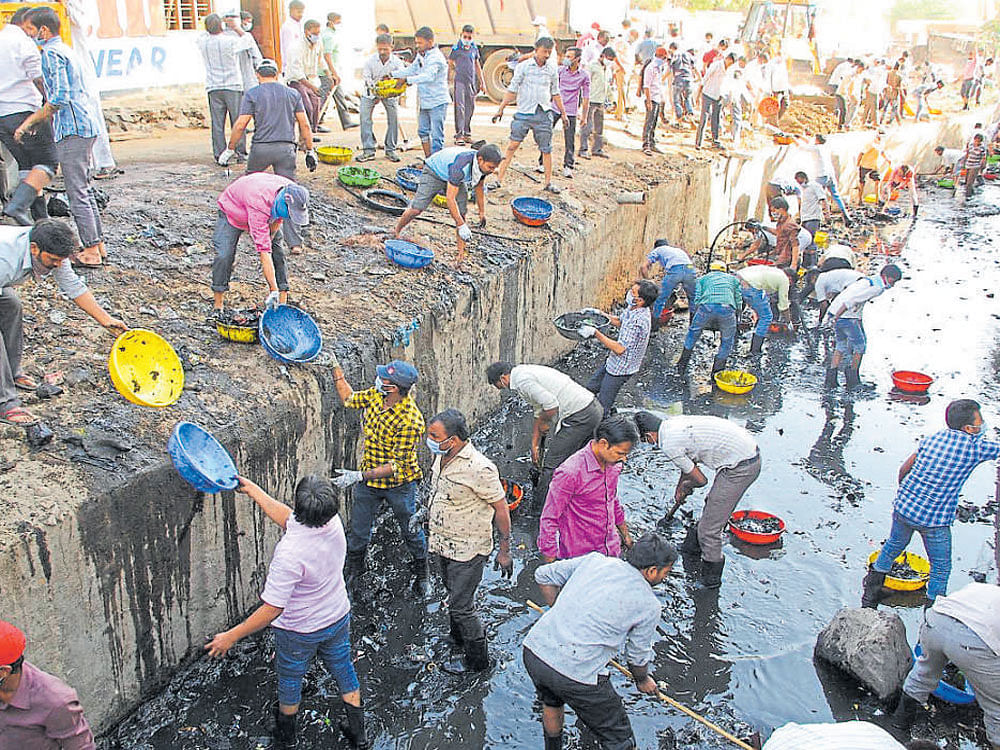 Volunteers undertake a cleanliness drive in the moat around the Mullagasi fort in Vijayapura on Wednesday. DH photo