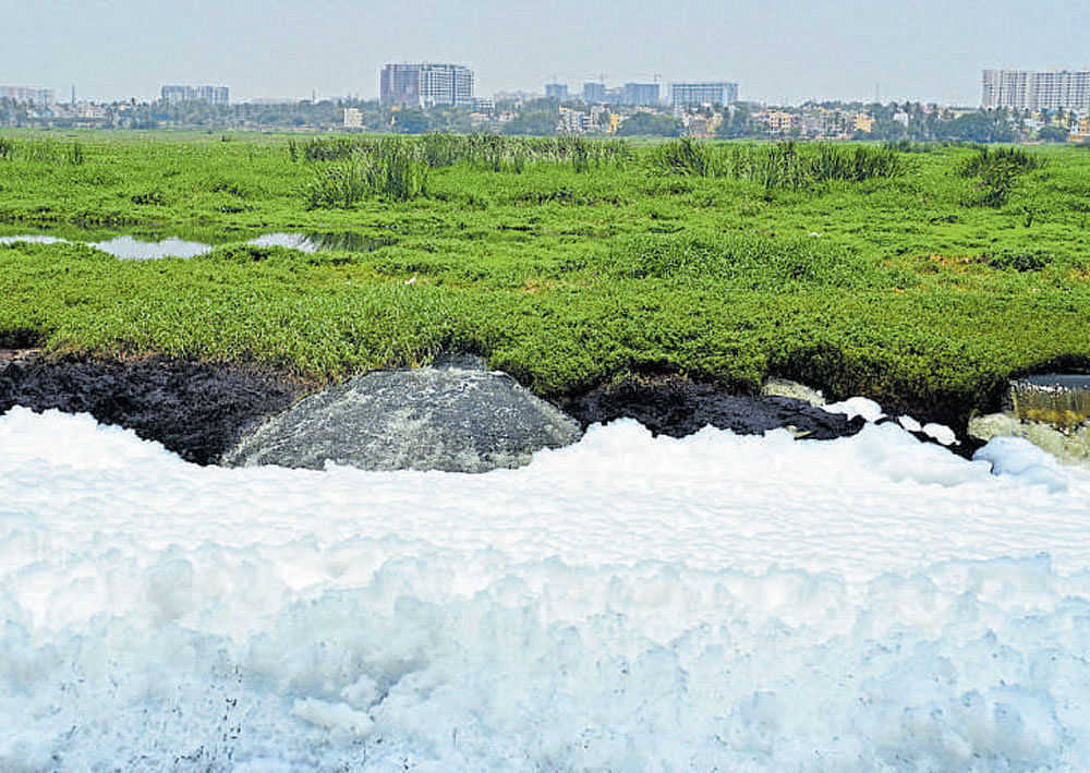 The Karnataka Lake Conservation and Development  Corporation has received a proposal for inlet treatment  at Varthur lake. DH&#8200;PHOTO
