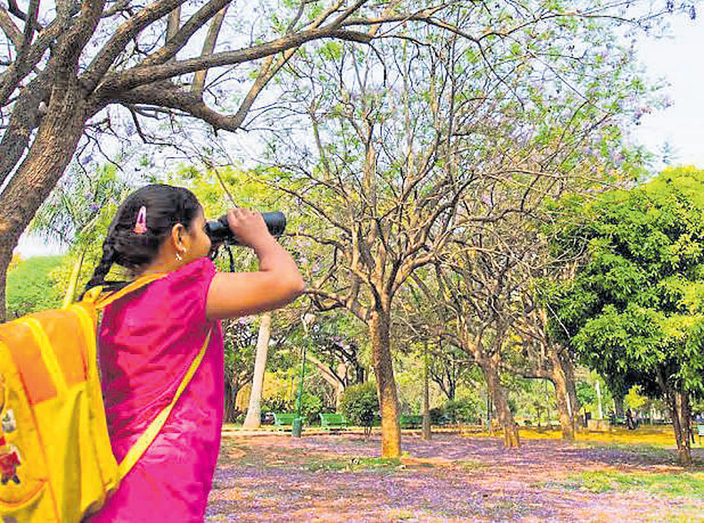 A girl makes a keen observation during a tree walk.