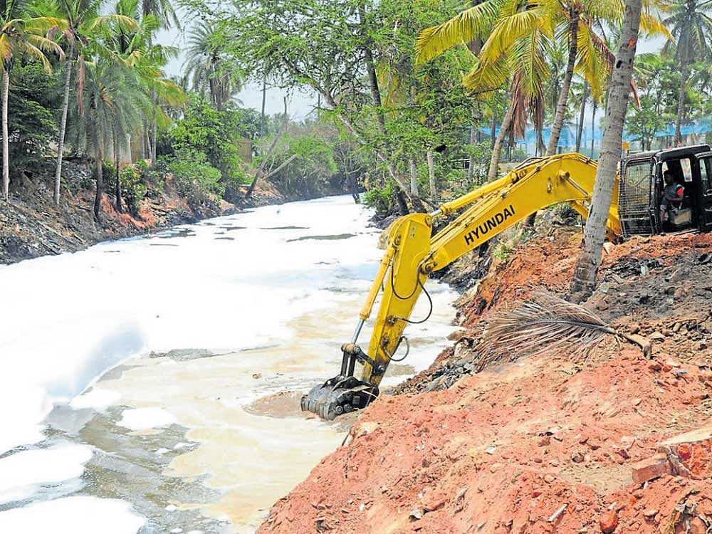 The National Green Tribunal (NGT)'s inspection of the lake offered the scientific community an opportunity for some course correction.