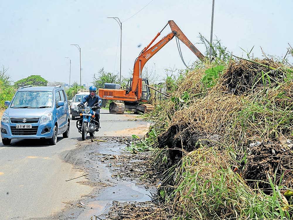 In the absence of floating machines, earthmovers are weeding Bellandur lake. The removed weeds were dumped on the Yemalur and Bellandur main road on Tuesday as the Bangalore Development Authority is yet to dispose them of. DH PHOTO