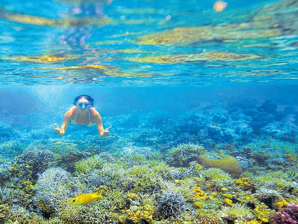 Philippines is high on the list of beach lovers in Bengaluru.