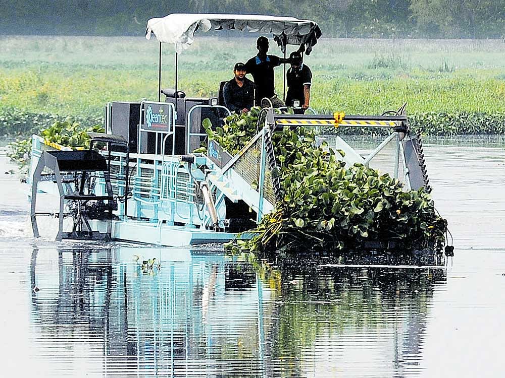 Clearing weeds is under way and will take three months as the lake is spread across 910 acres, officials said. Desilting can be done only when the entry of untreated water is reduced.  DH File Photo