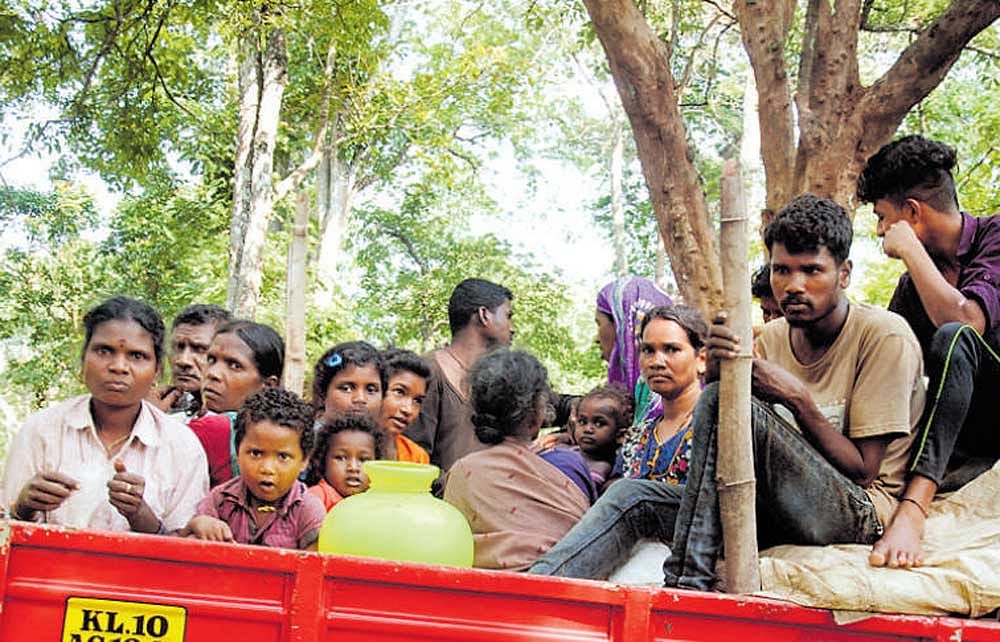 Tribals from Diddalli being ferried in a vehicle to Byadagotta in Somwarpet taluk. DH photo