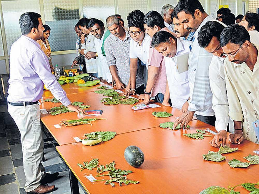Participants in a training session at the  College of Horticulture, Mysuru