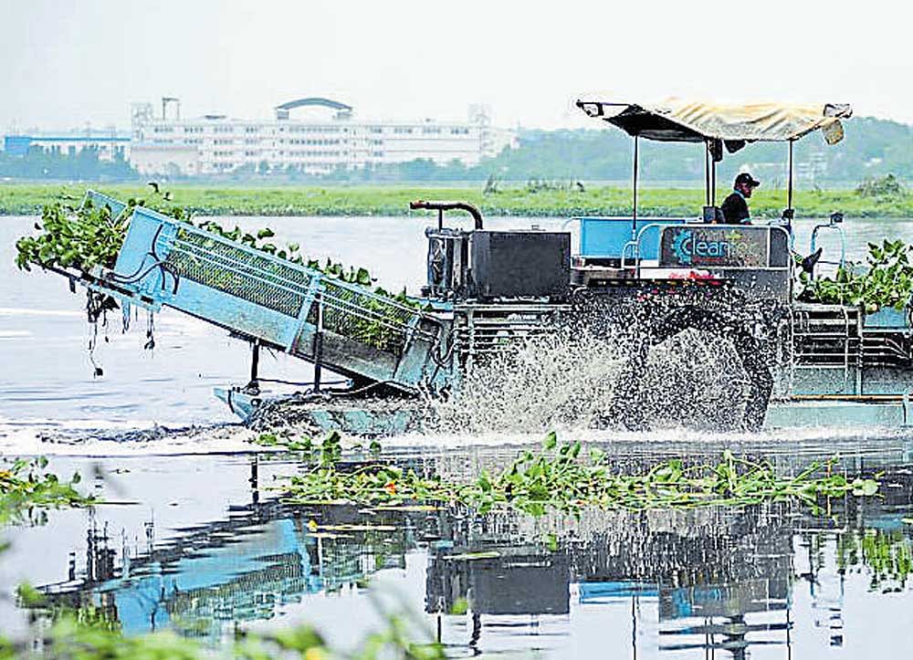 Cleaning drive at Bellandur lake on Tuesday. DH PHOTO