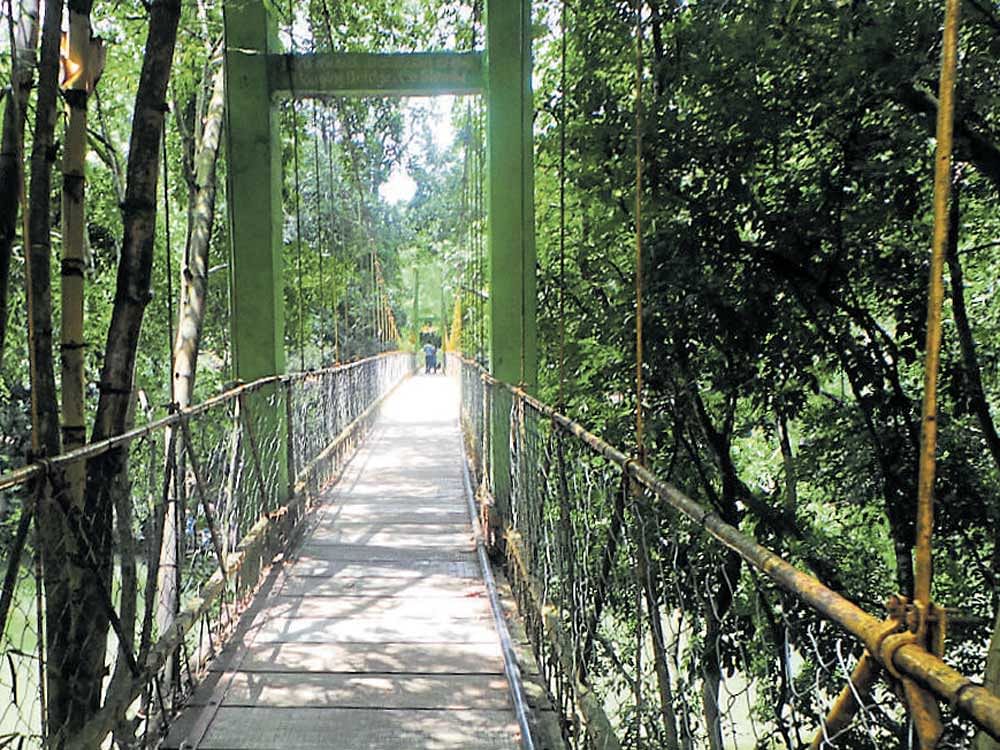 The Hanging Bridge at Nisargadham.