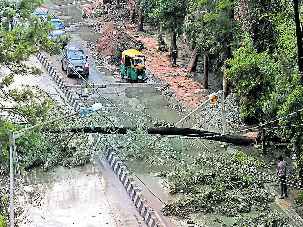MISHAP: A huge tree came crashing downalong with an electricity pole on the 80 Feet Road in Koramangala following heavy rain on Sunday.