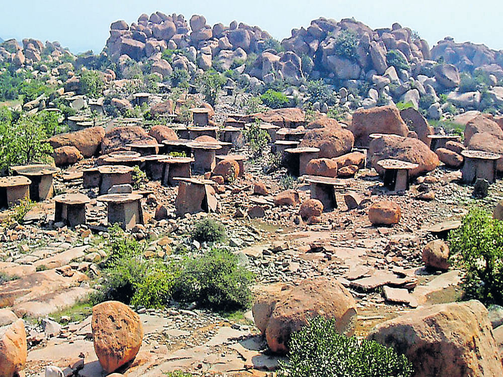 Large expanse: A panoramic view of the megalithic site at Hire Benakal in Koppal district.
