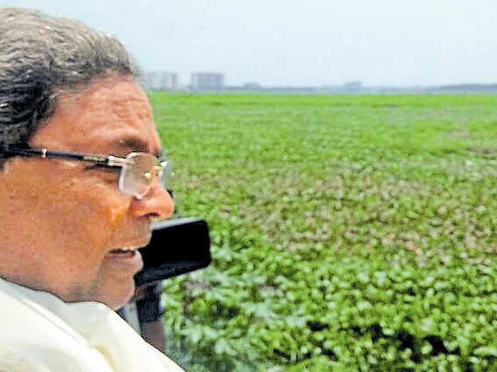 Chief Minister Siddaramaiah during his visit to Bellandur lake in Bengaluru on Monday. DH PHOTO