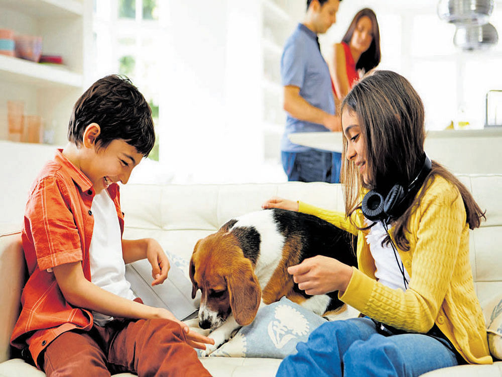 Relaxing: Pet dogs lower stress levels in children and provide social support.