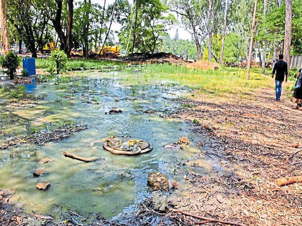 Sewage water overflows from a manhole in Lalbagh on Tuesday.