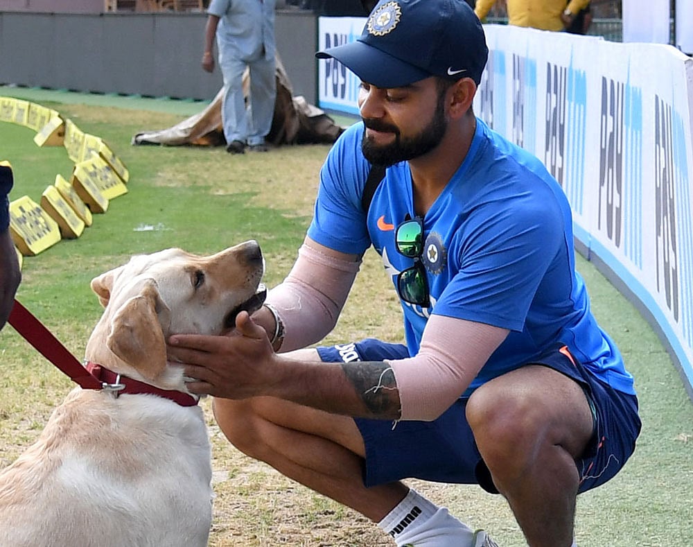 Dogs can 'talk' to humans study