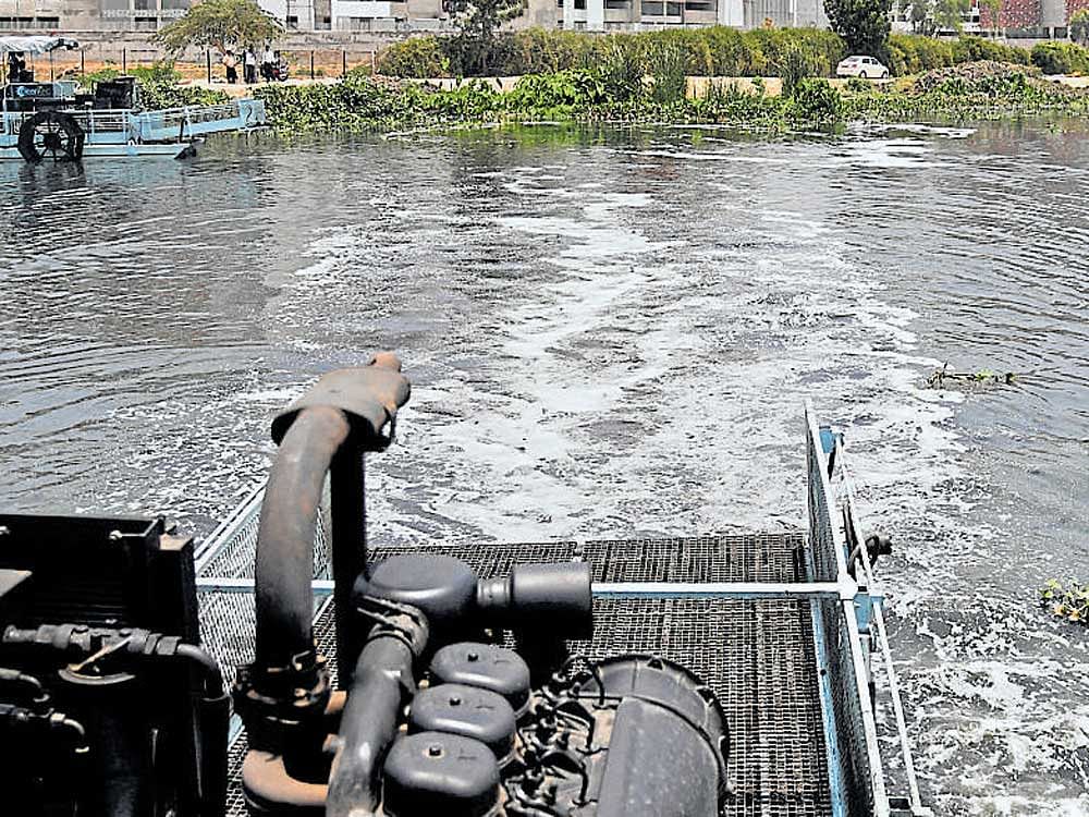 Apartments in the vicinity of Bellandur lake must instal effluent treatment plants or lose electricity and water supply, the National Green Tribunal (NGT) has ordered. DH PHOTO