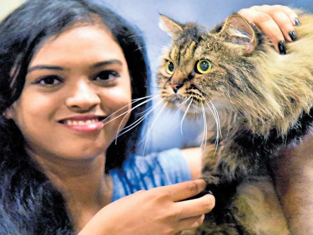 A pet lover with a cat at the Bangalore Pet Show which began on Saturday. dh photo