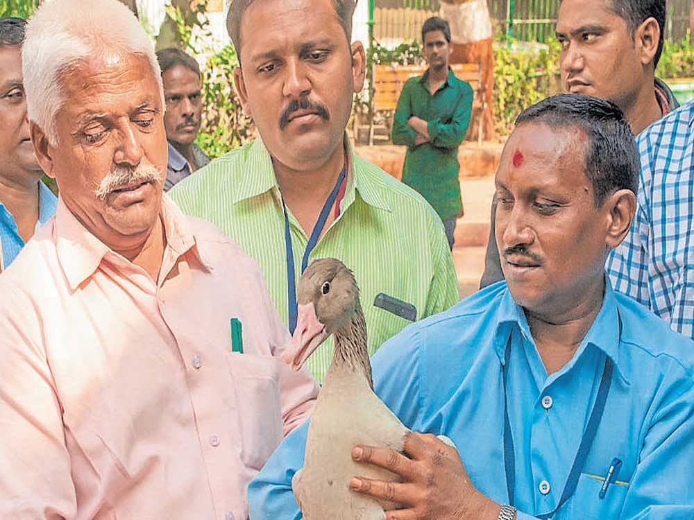 Head zookeeper Ranjitsinh Jadeja (third from left) trains staff from Ahmedabad and 22 other zoos on nuances of conservation.