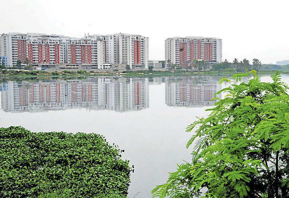 On May 5, 2016, the bench had ordered the widening of the buffer zone around Bengaluru lakes from 30 to 75 metres. DH file photo